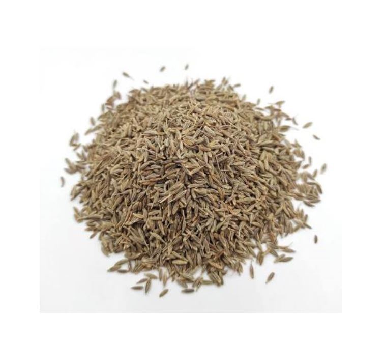 گیاه دارویی زیره سبز Cuminum cyminum