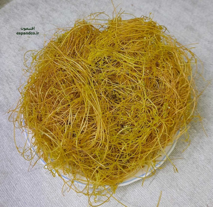  Cuscuta epithymum