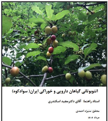 گیاهان دارویی و خوراکی شهرستان سوادکوه