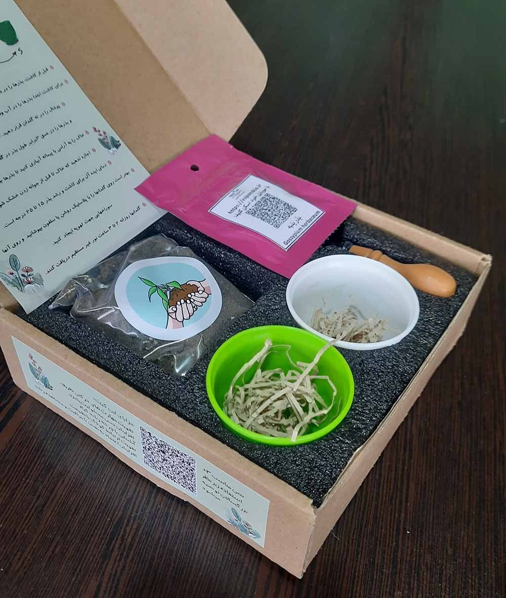  کاشت بذر برای بچه ها 