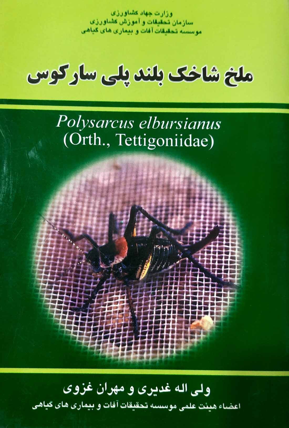  کتاب ملخ شاخک بلند پلی سارکوس 