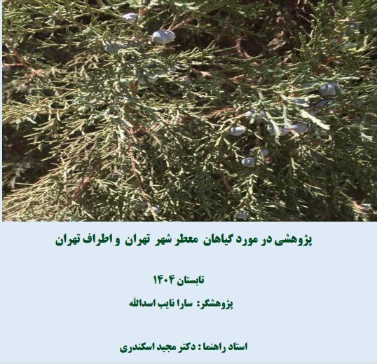 گیاهان معطر شهر تهران و حومه
