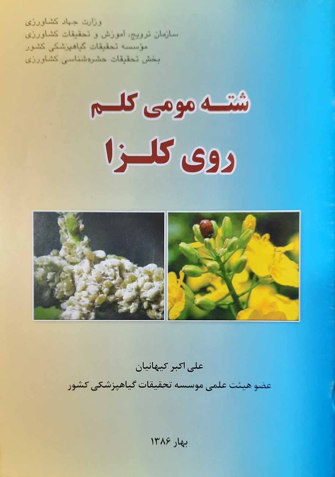  کتاب شته مومی کلم روی کلزا 