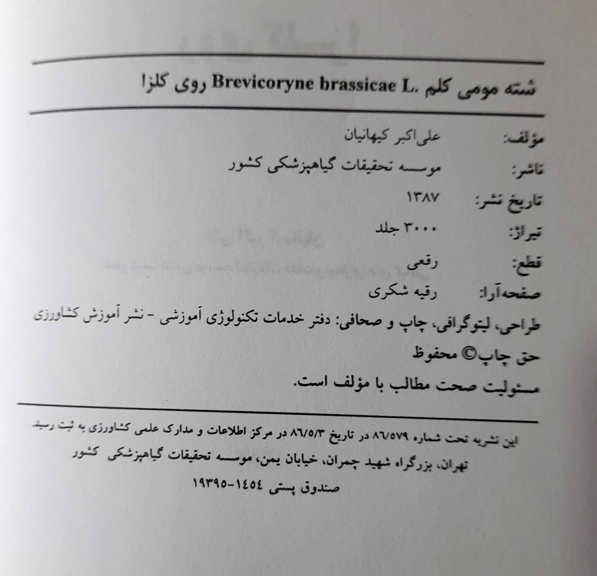  شته مومی کلم روی کلزا 