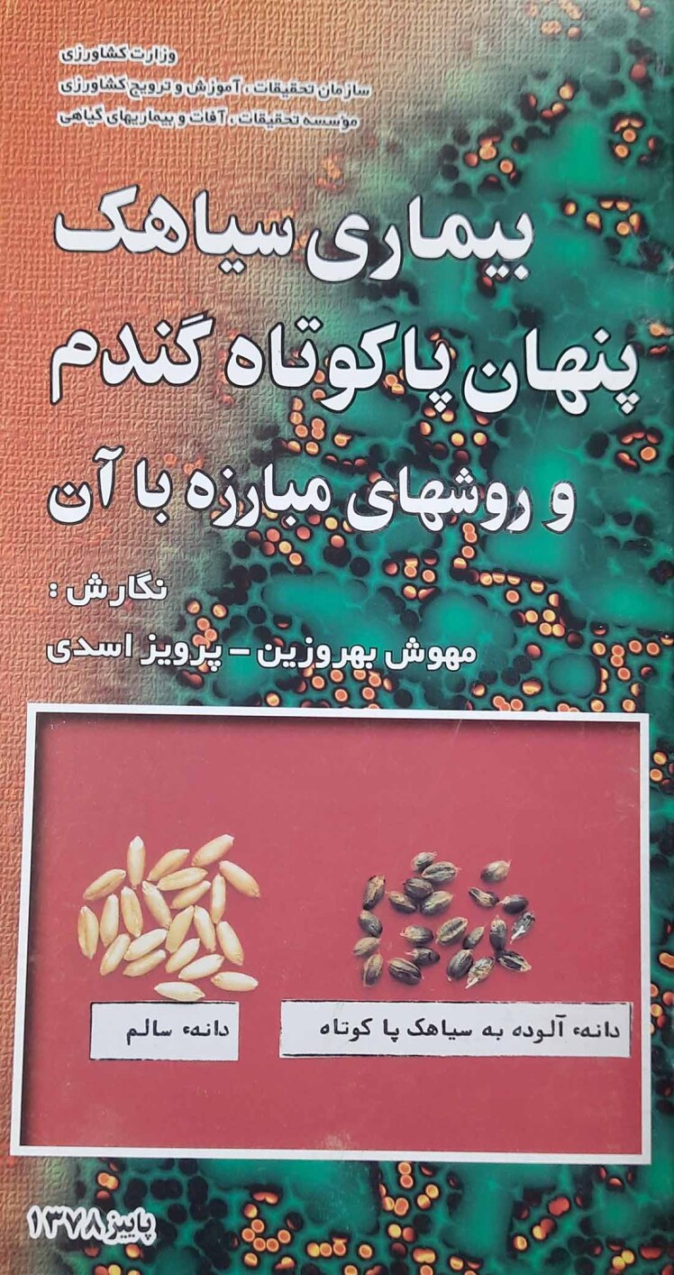 کتاب بیماری سیاهک پنهان پاکوتاه گندم و روشهای مبارزه با آن